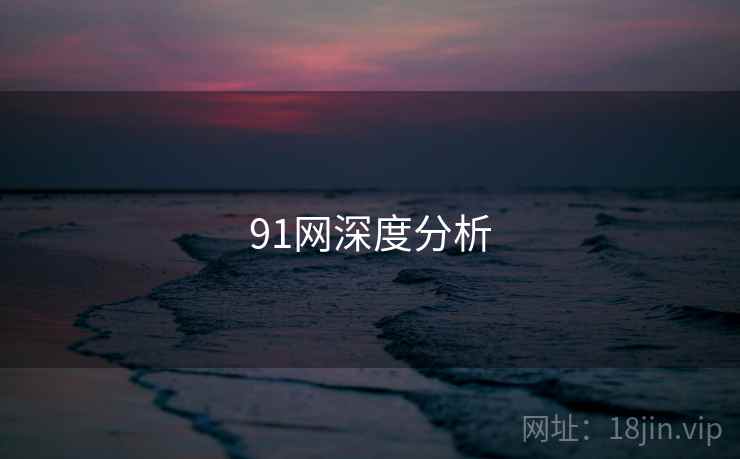 91网深度分析