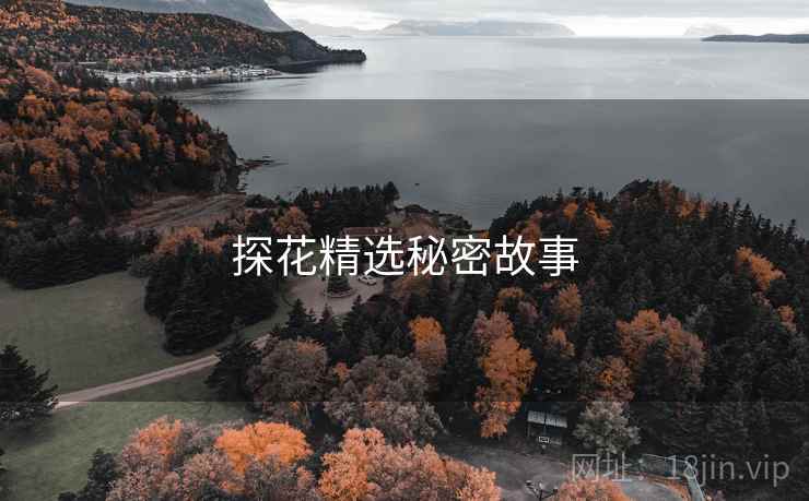 探花精选秘密故事 探花精选秘密故事