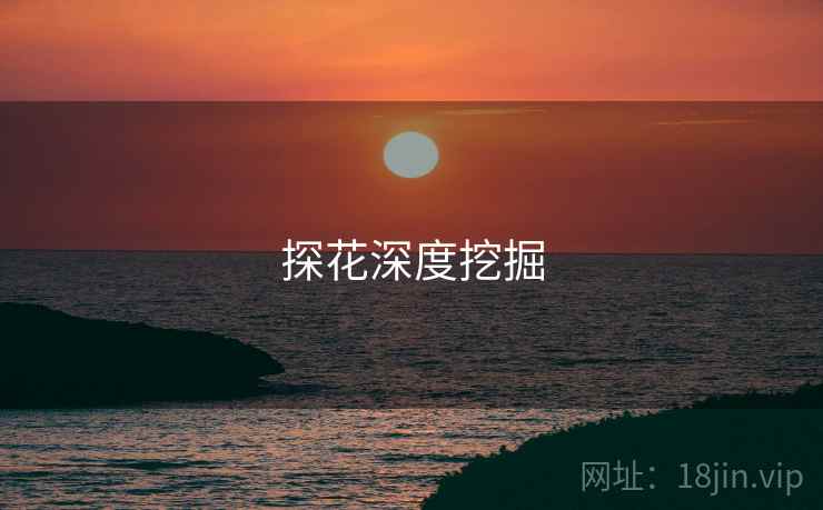 探花深度挖掘 探花深度挖掘