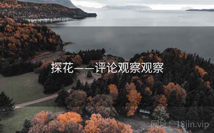 探花——评论观察观察 探花——评论观察观察