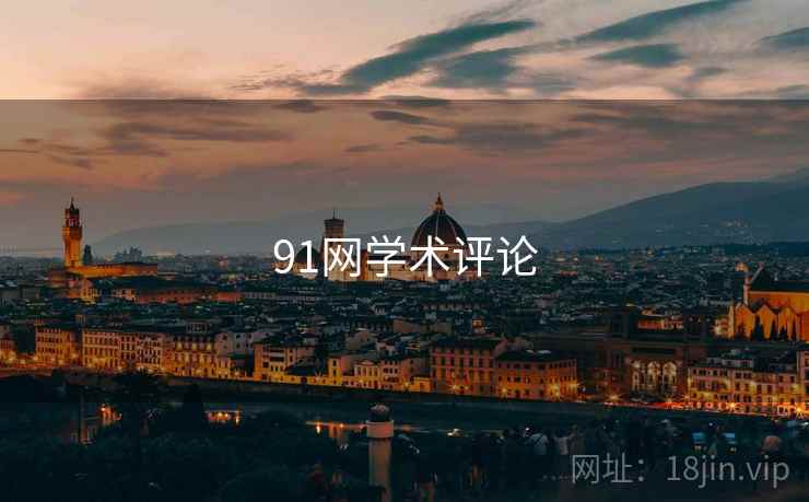 91网学术评论