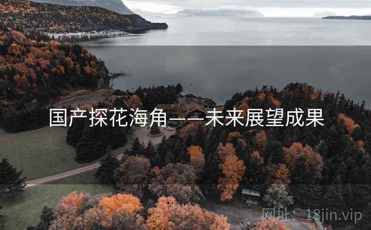 国产探花海角——未来展望成果 国产探花海角——未来展望成果