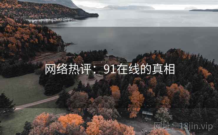 网络热评:91在线的真相 网络热评:91在线的真相
