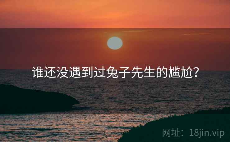 谁还没遇到过兔子先生的尴尬?