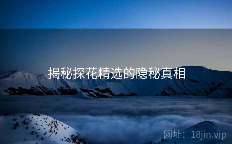 揭秘探花精选的隐秘真相